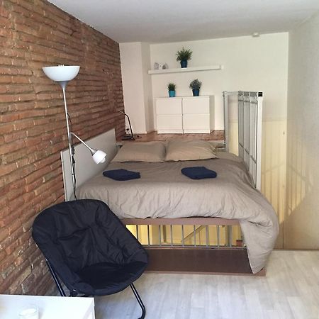 Le Petit Moulin, Duplex Hypercentre Toulouse Διαμέρισμα Εξωτερικό φωτογραφία
