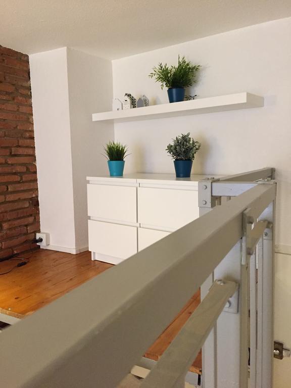 Le Petit Moulin, Duplex Hypercentre Toulouse Διαμέρισμα Εξωτερικό φωτογραφία