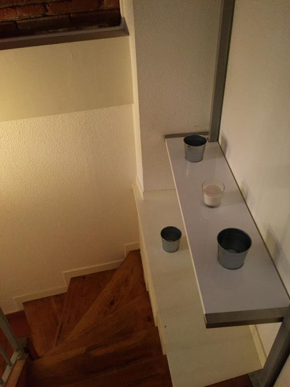 Le Petit Moulin, Duplex Hypercentre Toulouse Διαμέρισμα Εξωτερικό φωτογραφία