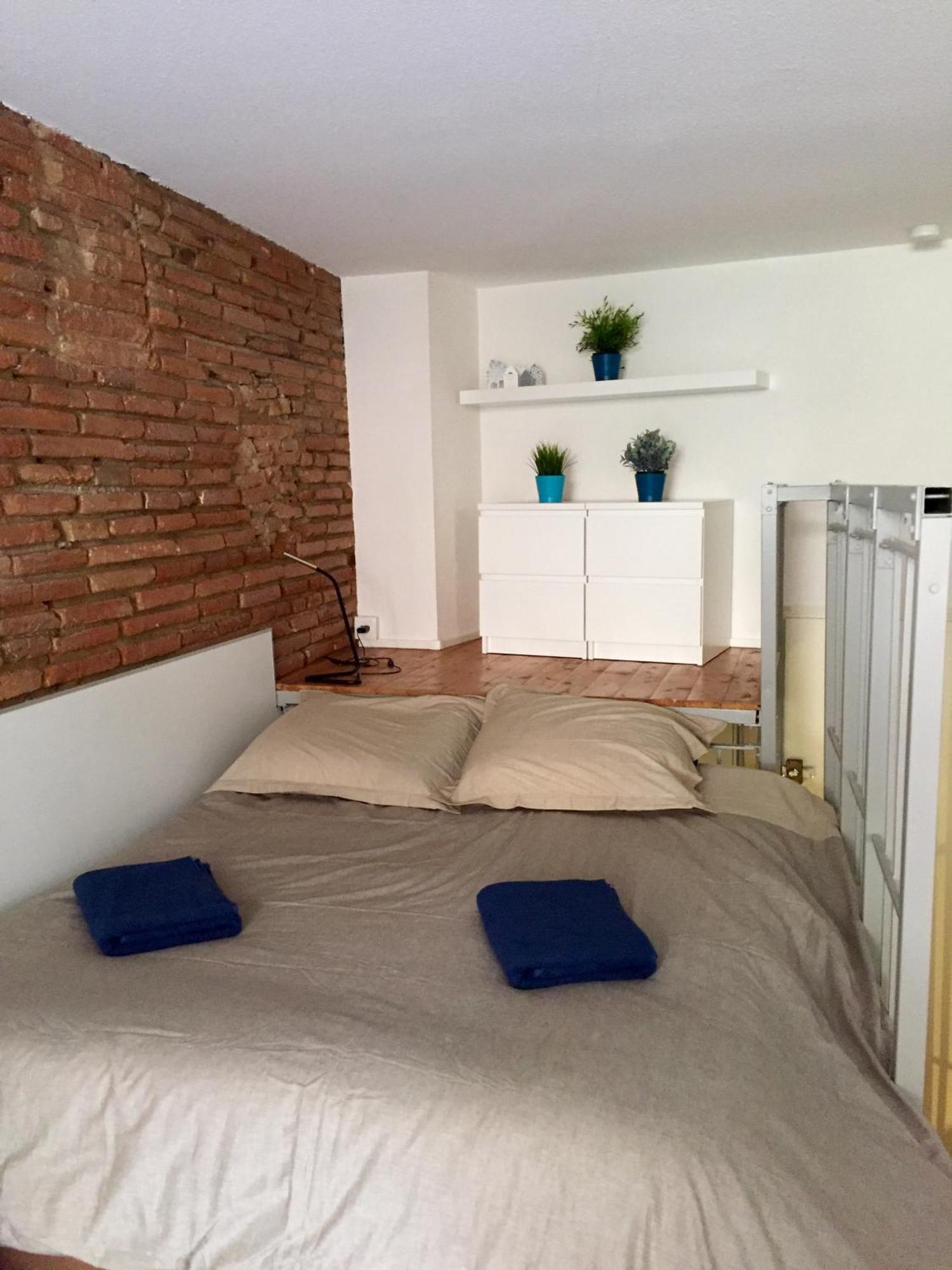 Le Petit Moulin, Duplex Hypercentre Toulouse Διαμέρισμα Εξωτερικό φωτογραφία